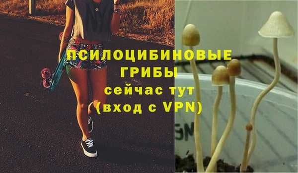 мяу мяу мука Абинск